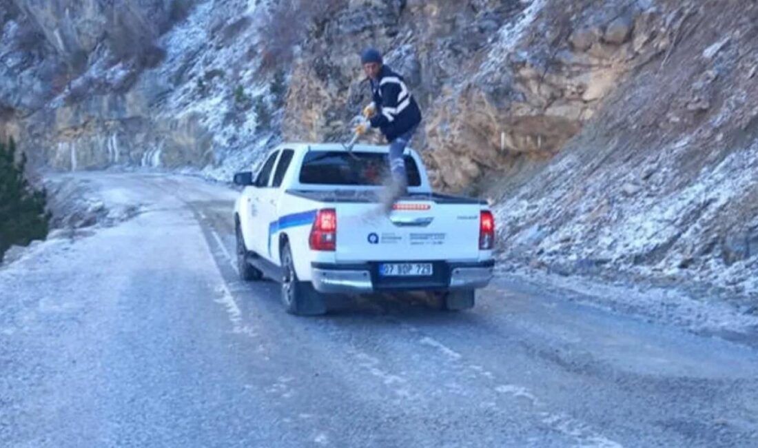 Antalya Büyükşehir Belediyesi Kırsal Hizmetler Dairesi Başkanlığı Alanya ekipleri, ilçedeki