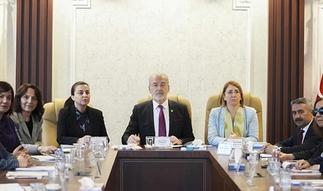 TBMM Kadına Karşı Şiddet ve Ayrımcılığı Araştırma Komisyonu, İstanbul'da Beylerbeyi