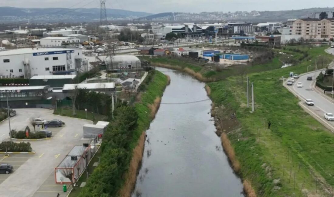 Marmara Bölgesi'nin önemli su kaynaklarından olan Nilüfer Çayı, Bursa Büyükşehir