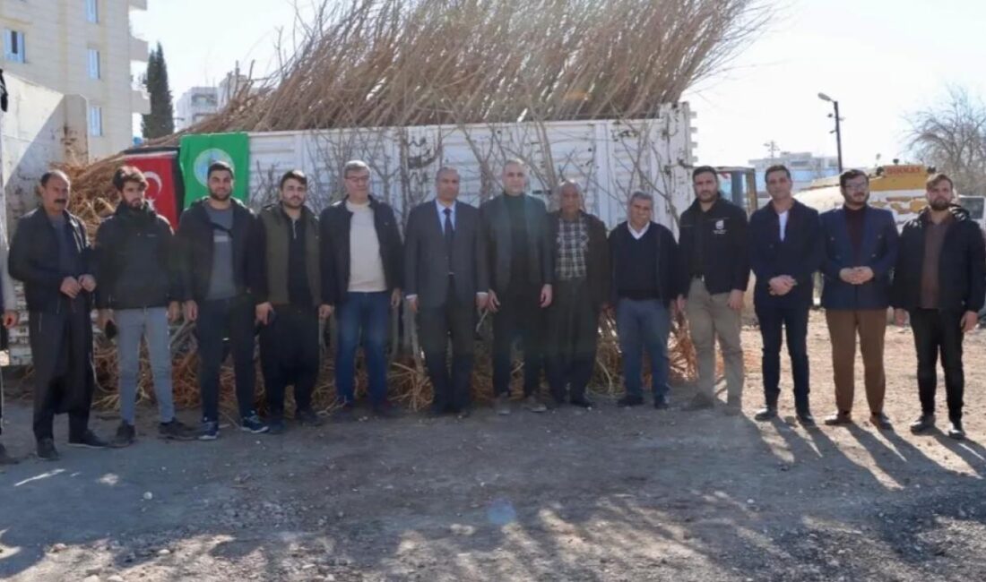 Şanlıurfa Büyükşehir Belediyesi, ipek böceği yetiştiriciliği yapan çiftçilere destek olmak