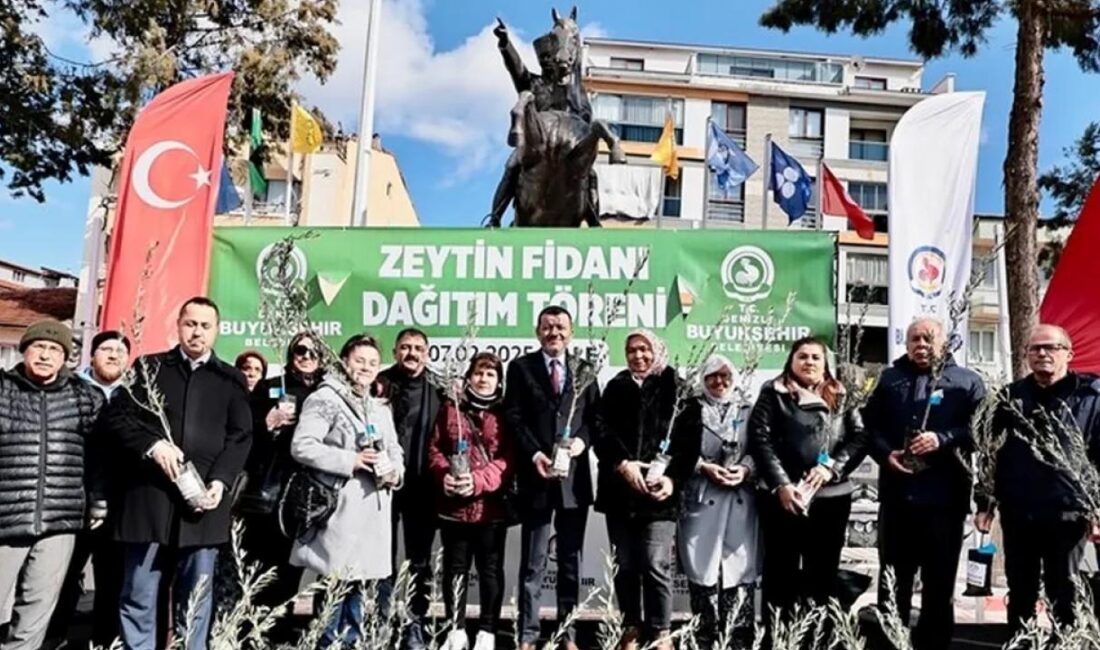 Denizli Büyükşehir Belediyesi, zeytin yetiştiriciliğinin yaygınlaştırılması, sertifikalı fidan kullanma alışkanlığının