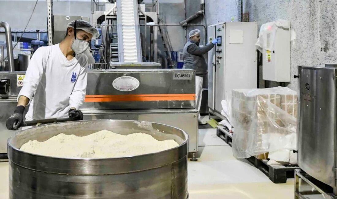 Ankara Büyükşehir Belediyesi Halk Ekmek Fabrikası; şekli bozuk ya da