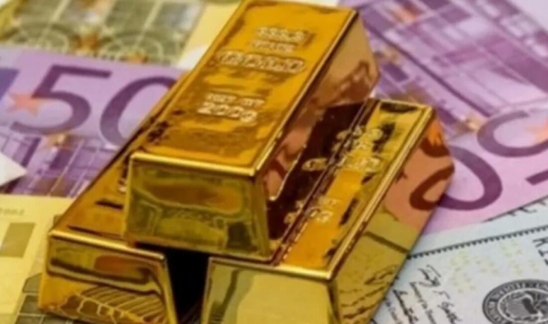 Finansal yatırım araçlarının reel getirilerinde bu kez aylık en yüksek