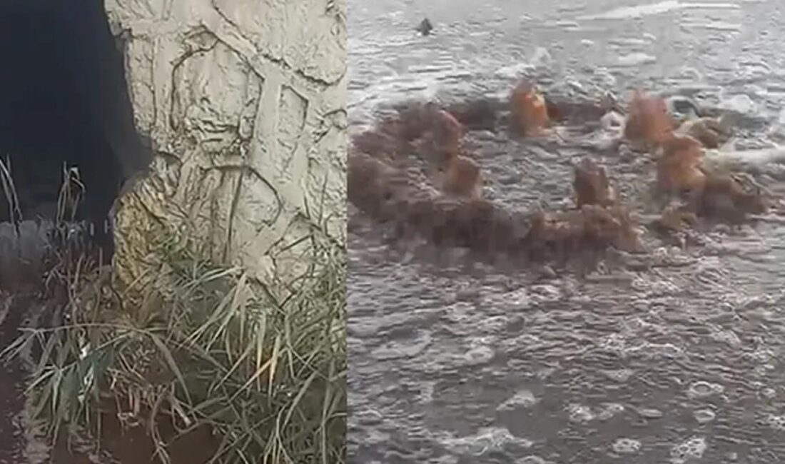 Çevre, Şehircilik ve İklim Değişikliği Bakanlığı ekipleri, İzmir'deHarmandalı Katı Atık