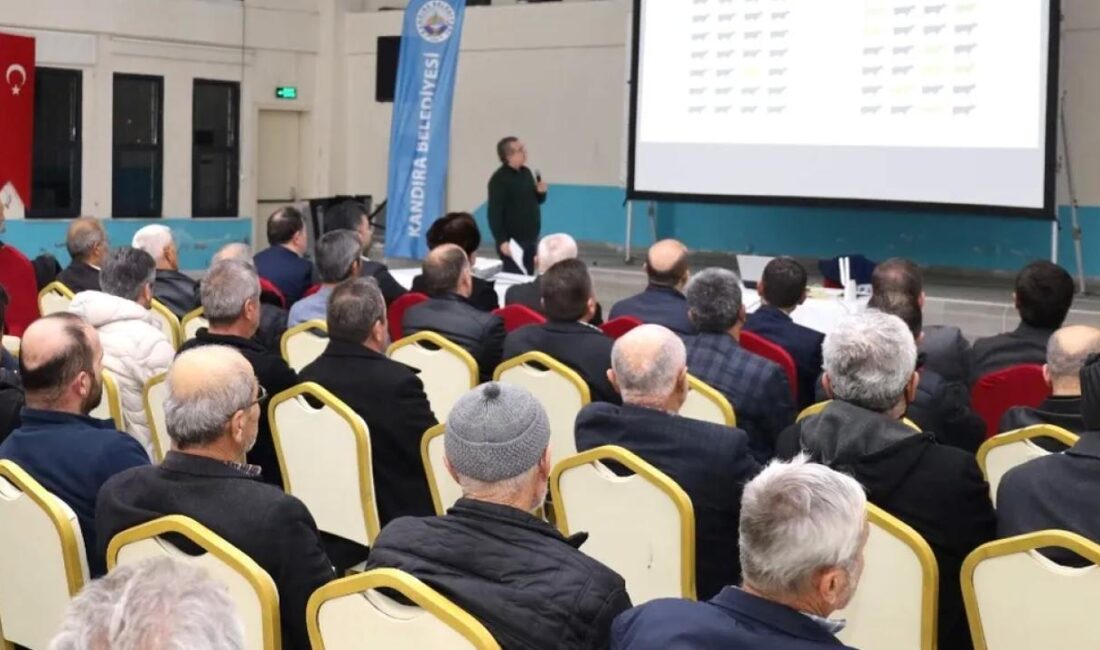 Kocaeli Büyükşehir Belediyesi, çiftçilere yönelik kooperatif, yem bitkisi ve hayvansal