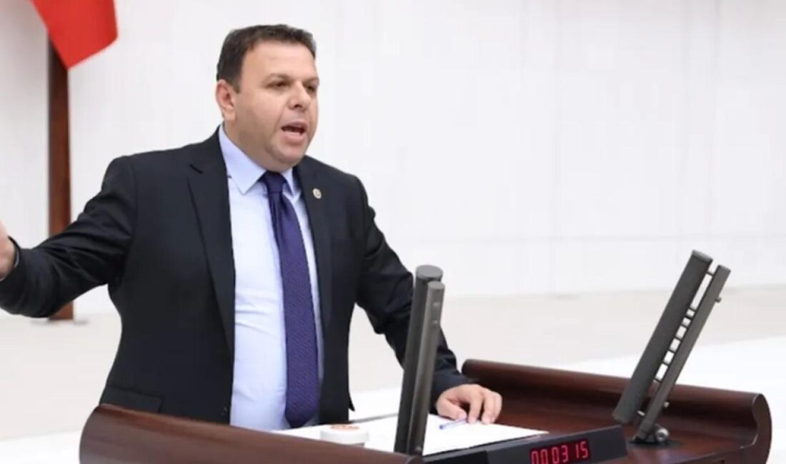 Edirne Milletvekili ve Ziraat Mühendisi Ediz Ün, 2024 yılında ayçiçeği