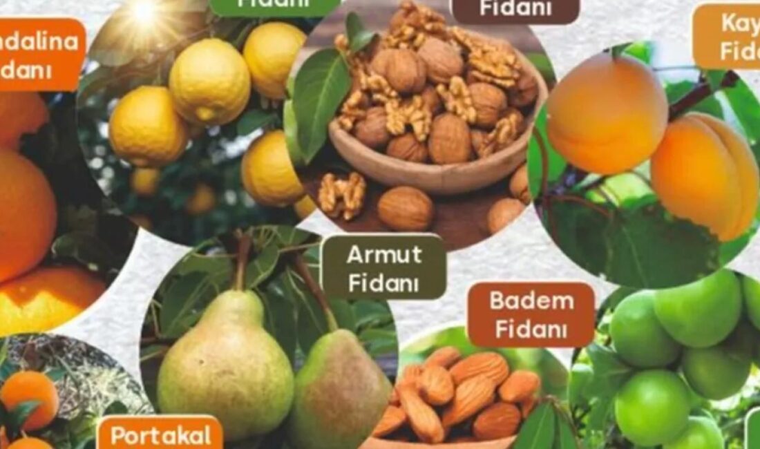 Tarımsal ürün çeşitliliğinin arttırılması ve sürdürülebilir kırsal kalkınmanın sağlanması için