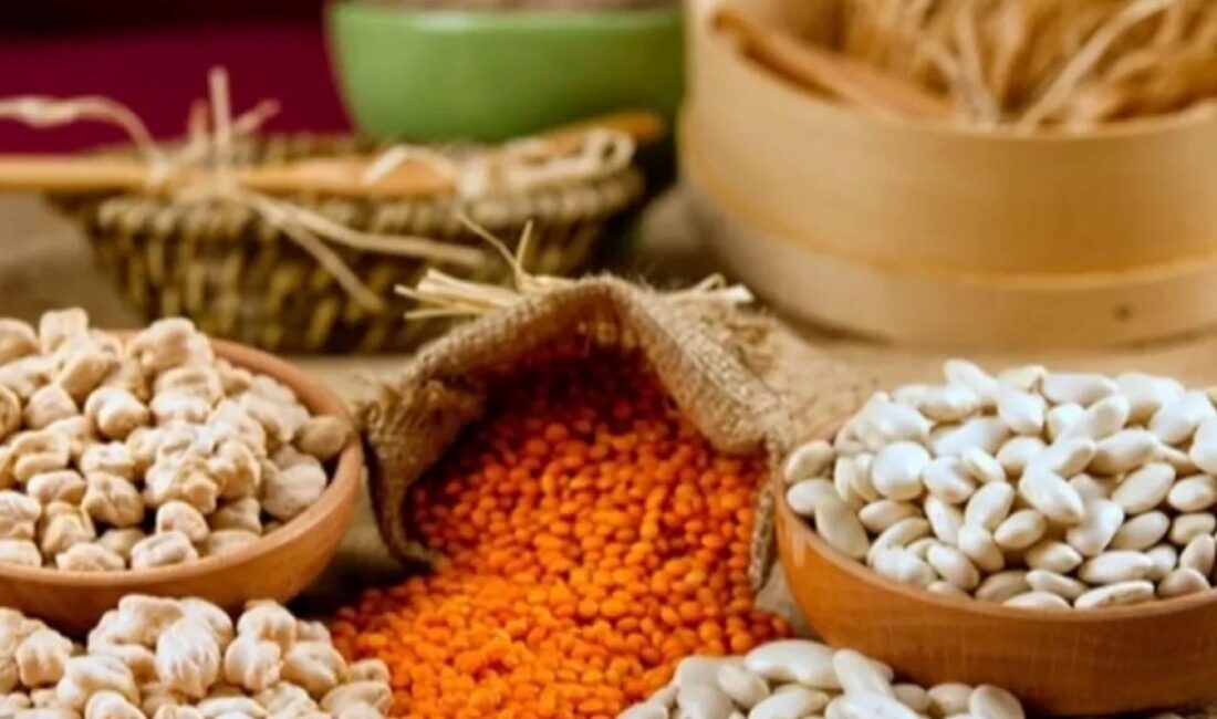 10 Şubat Dünya Bakliyat Günü’nde, sofralarımızın vazgeçilmezi olan nohut, mercimek