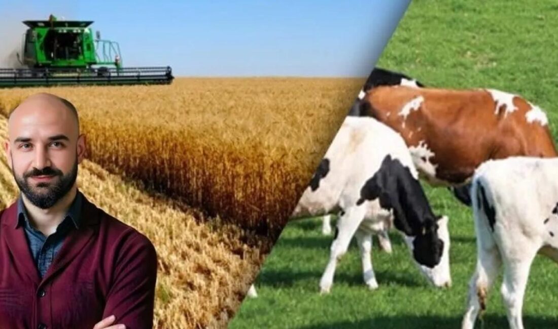 Küresel gıda talebi hızla artarken, tarım ve hayvancılık sektörü de