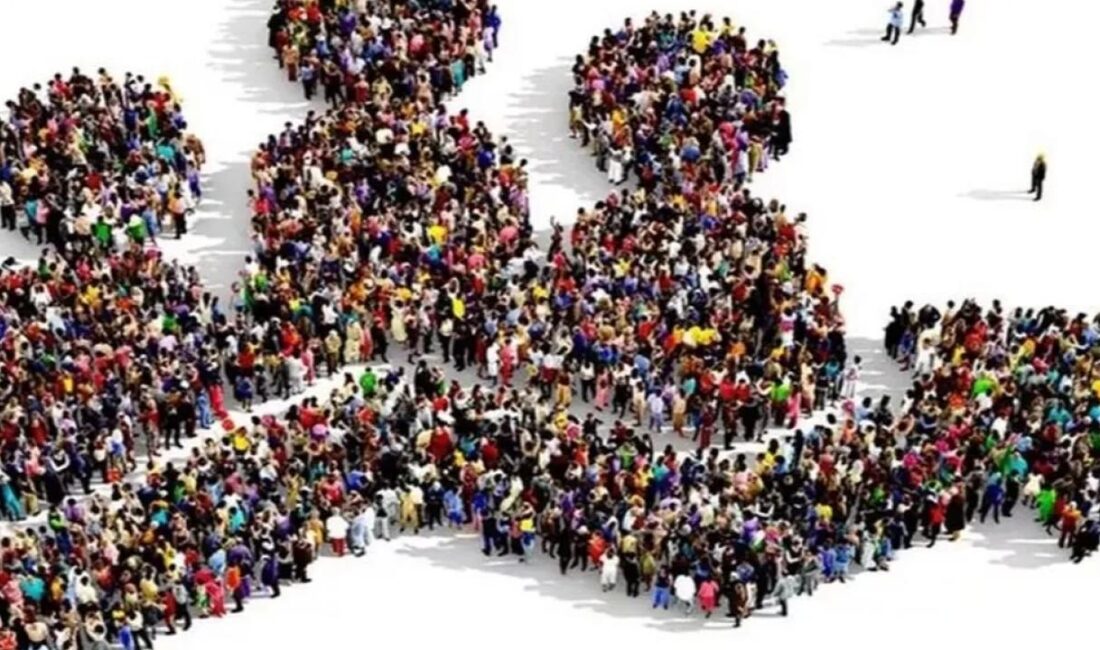 Türkiye'de ikamet eden nüfus, 31 Aralık 2024 tarihi itibarıyla bir