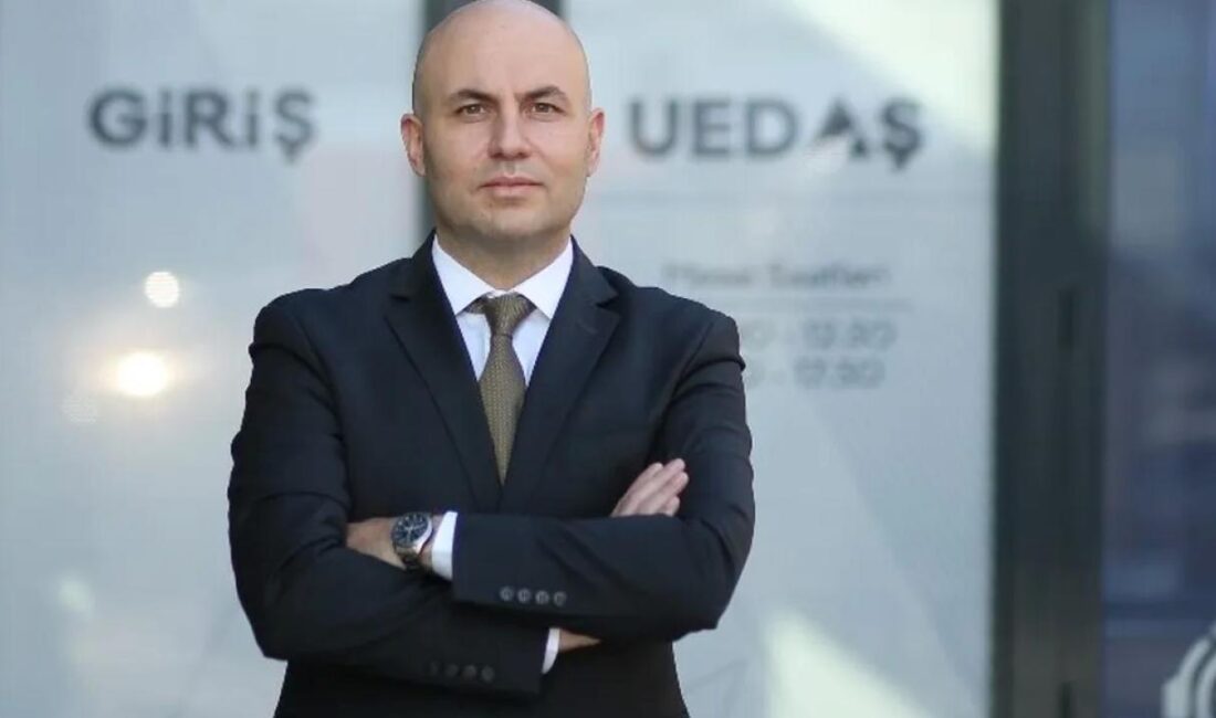 Türkiye Elektrik Dağıtım Anonim Şirketi  (TEDAŞ), 2024 yıl sonu memnuniyet