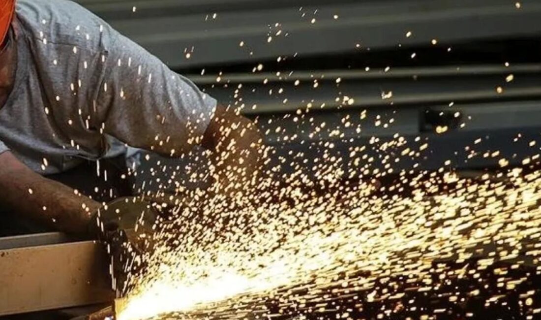 TÜİK, Ocak ayına ilişkin açıkladığı Yurt İçi Üretici Fiyat Endeksi