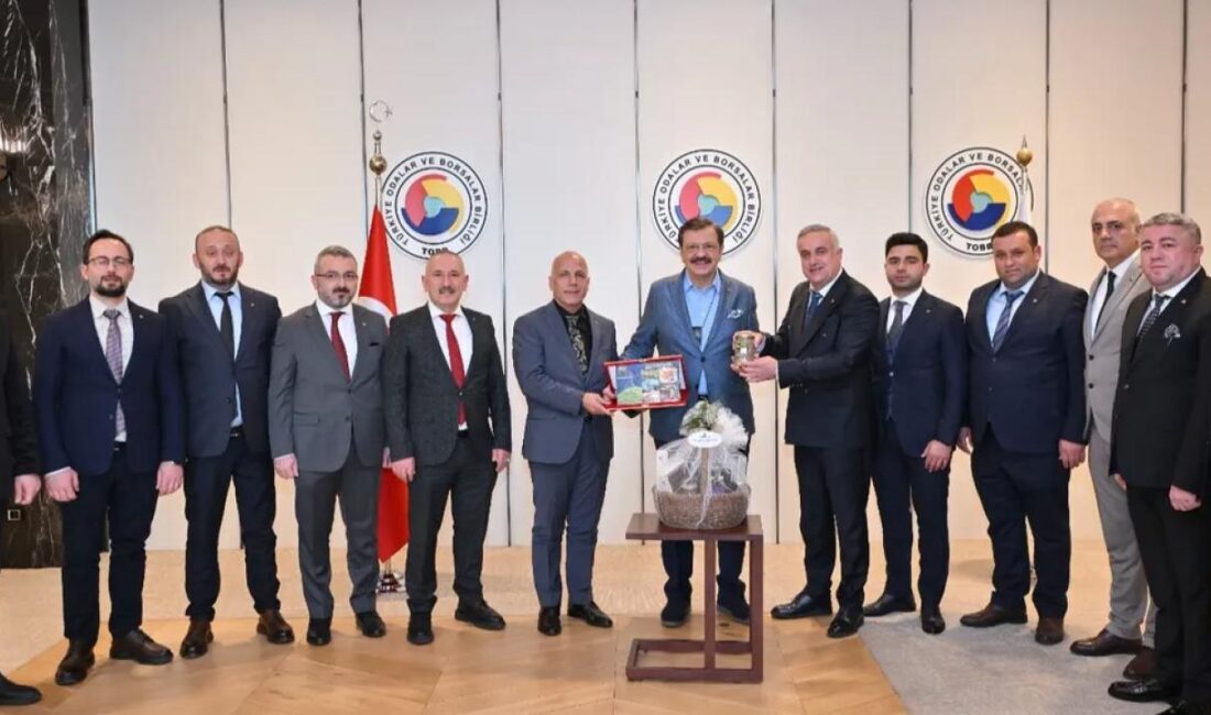 Artvin Ticaret Borsası Meclisi, Türkiye Odalar ve Borsalar Birliği (TOBB)