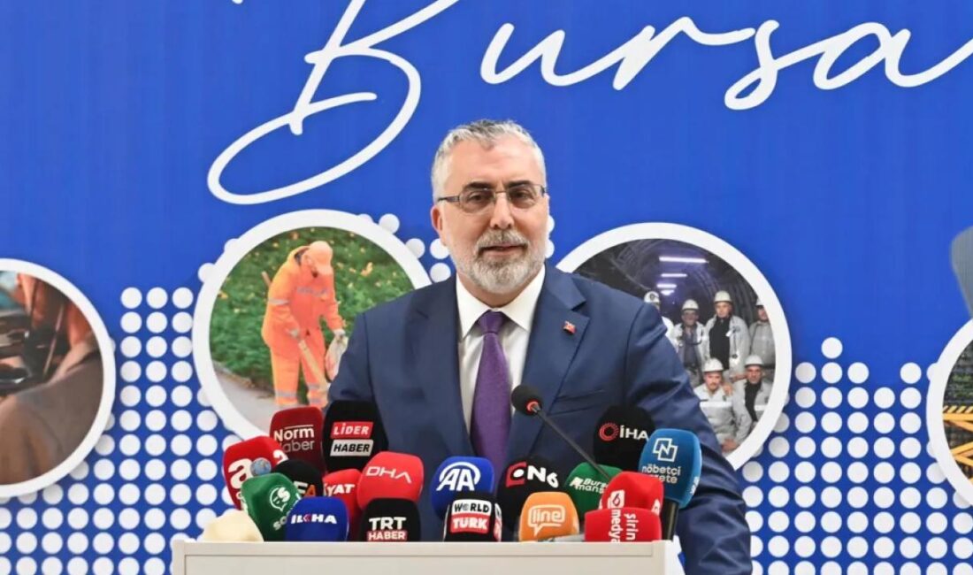 Çalışma ve Sosyal Güvenlik Bakanı Prof. Dr. Vedat Işıkhan, son