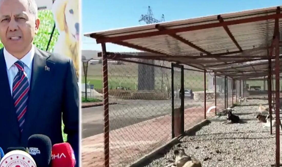 İçişleri Bakanı Ali Yerlikaya, sahipsiz hayvanlar ve bakımevleri ile ilgili