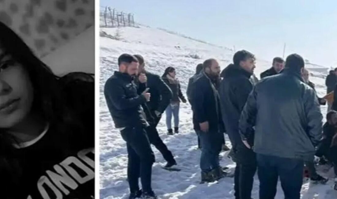 Hakkari Yüksekova'da başıboş köpeklerin saldırısı sonucu hayatını kaybeden 12 yaşındaki