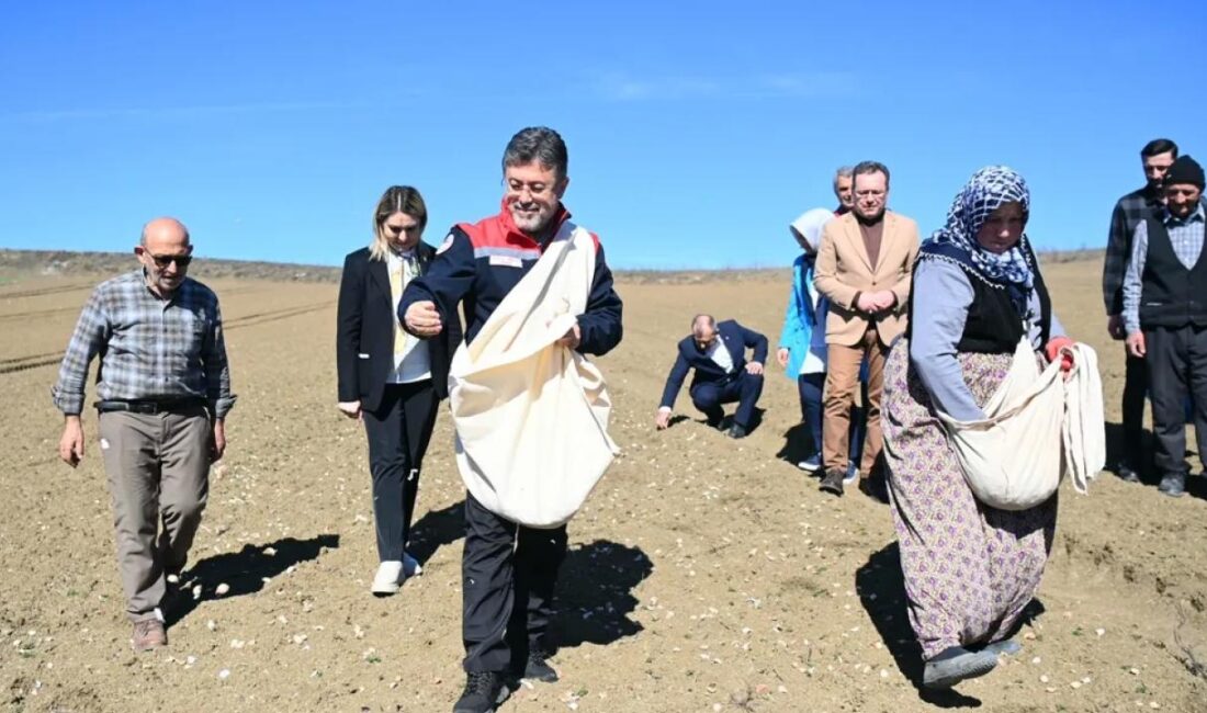 Kastamonu'nun Taşköprü ilçesinde coğrafi işaretli Taşköprü sarımsağının ekimine katılan Bakan