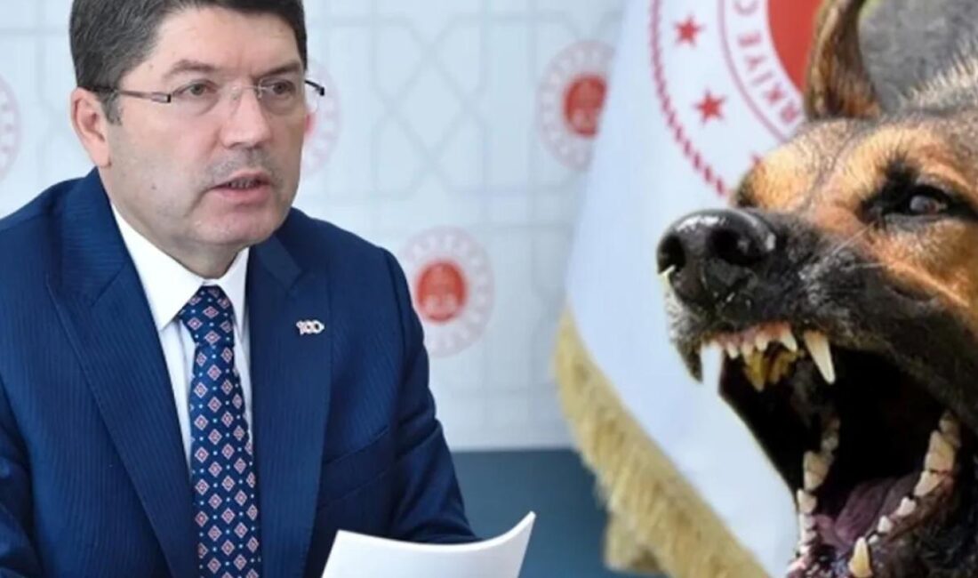 Adalet Bakanı Yılmaz Tunç, sahipsiz hayvanların kontrol altına alınması ve