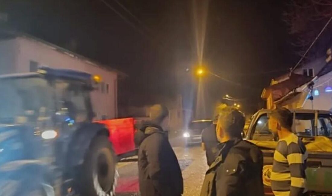 Bilecik'in Pazaryeri Orman İşletme Şefliği, ormanları kaçak kesim ve yasa