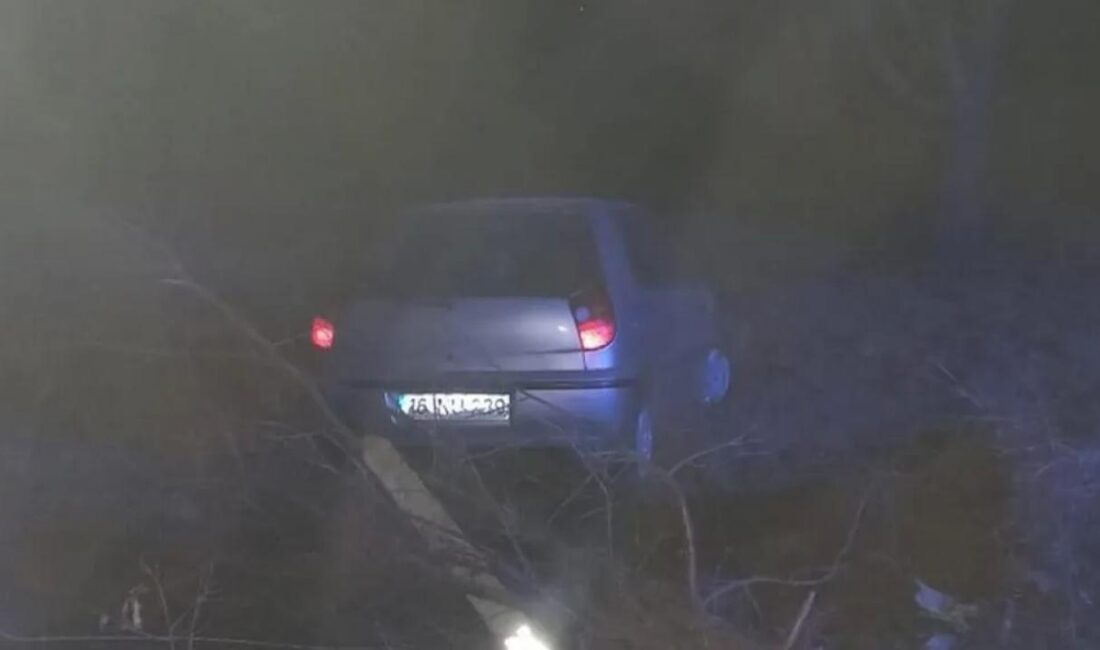 Bilecik’in Pazaryeri ilçesinde meydana gelen trafik kazasında 1 kişi yaralandı.