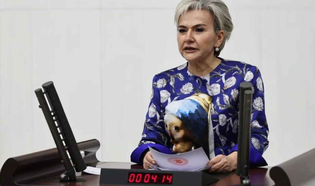 CHP İstanbul Milletvekili Nimet Özdemir, Türkiye’de artan boşanma oranlarını ve