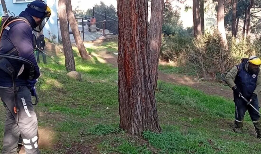 Bursa Gemlik Belediyesi Park ve Bahçeler Müdürlüğü ekipleri, ilçe genelinde
