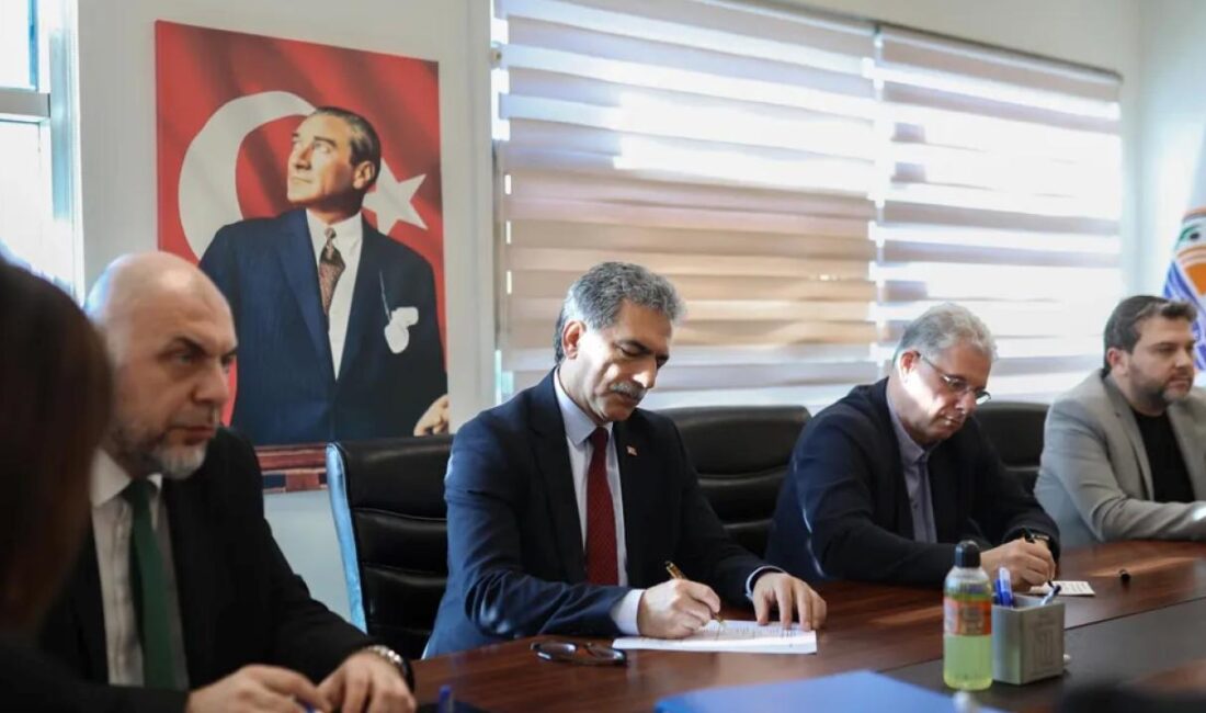 Bursa'nın yüzü zeytine bakan ilçeleri olan Mudanya, Gemlik ve Orhangazi