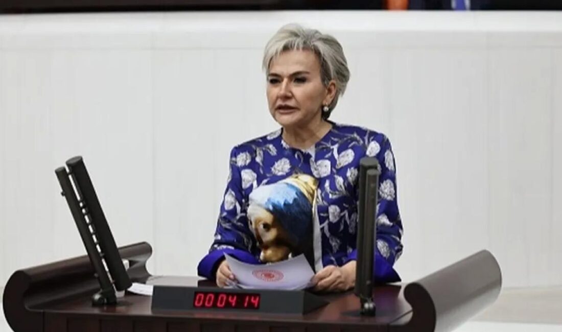 CHP İstanbul Milletvekili Nimet Özdemir TBMM'ye yeni bir kanun teklifi