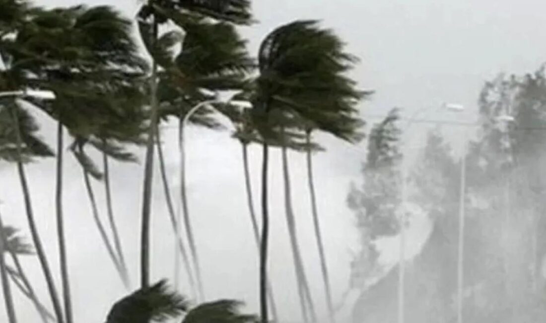 Meteoroloji Genel Müdürlüğü, Ege Denizi'nde 12 Mart Çarşamba sabah saatlerinden
