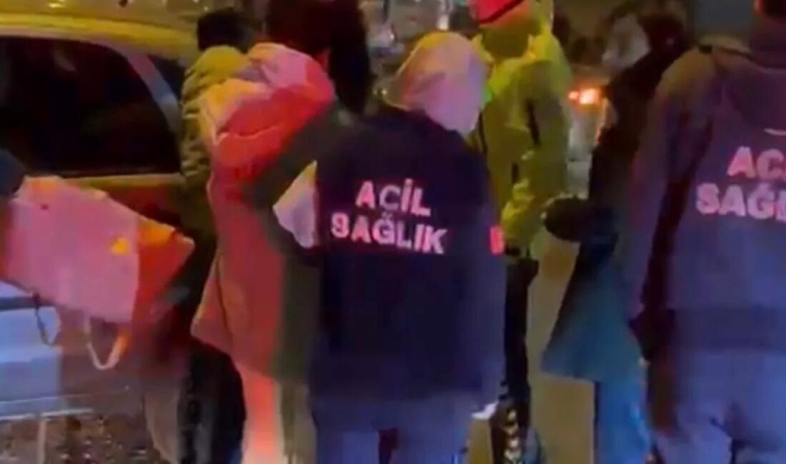 Düzce’de D-100 Karayolu üzeri çoban mevkisinde Ankara istikametine seyir halinde