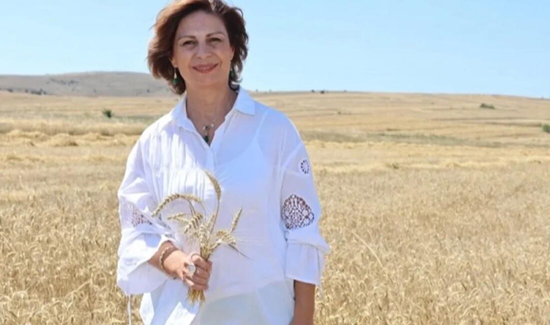 Eskişehir Büyükşehir Belediye Başkanı Ayşe Ünlüce tarafından çiftçiler için hayata