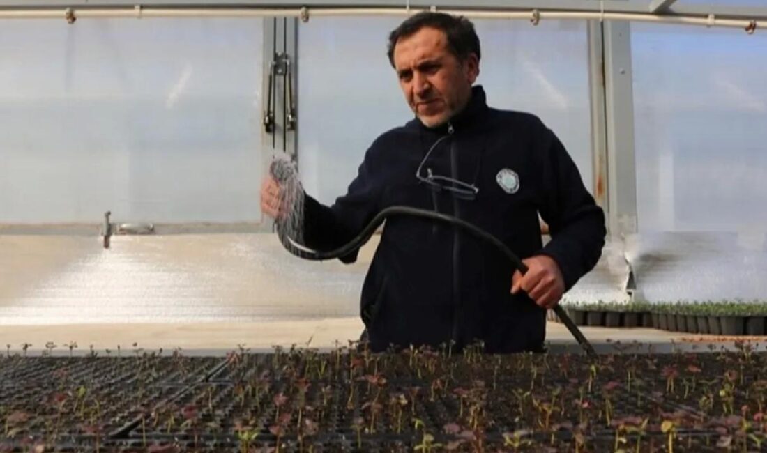 Eskişehir Büyükşehir Belediyesi, kendi bünyesinde bulunan fidanlık alanlarında ürettiği çeşitli
