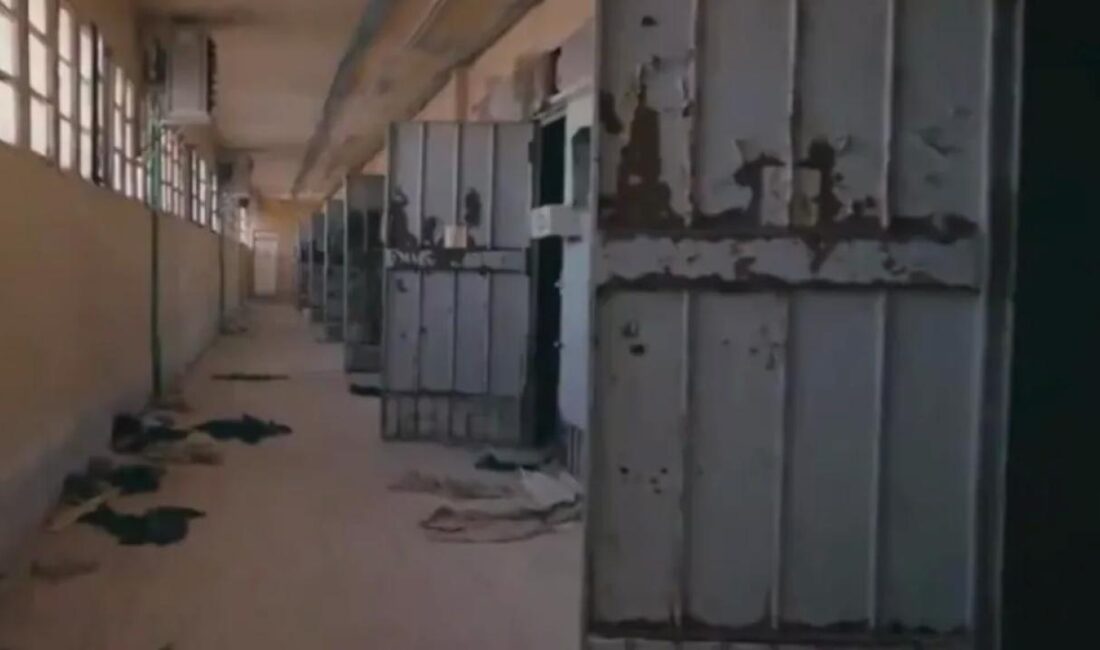 İletişim Başkanı Fahrettin Altun, TRT World'de yayınlanacak "Surviving Assad" belgeselini