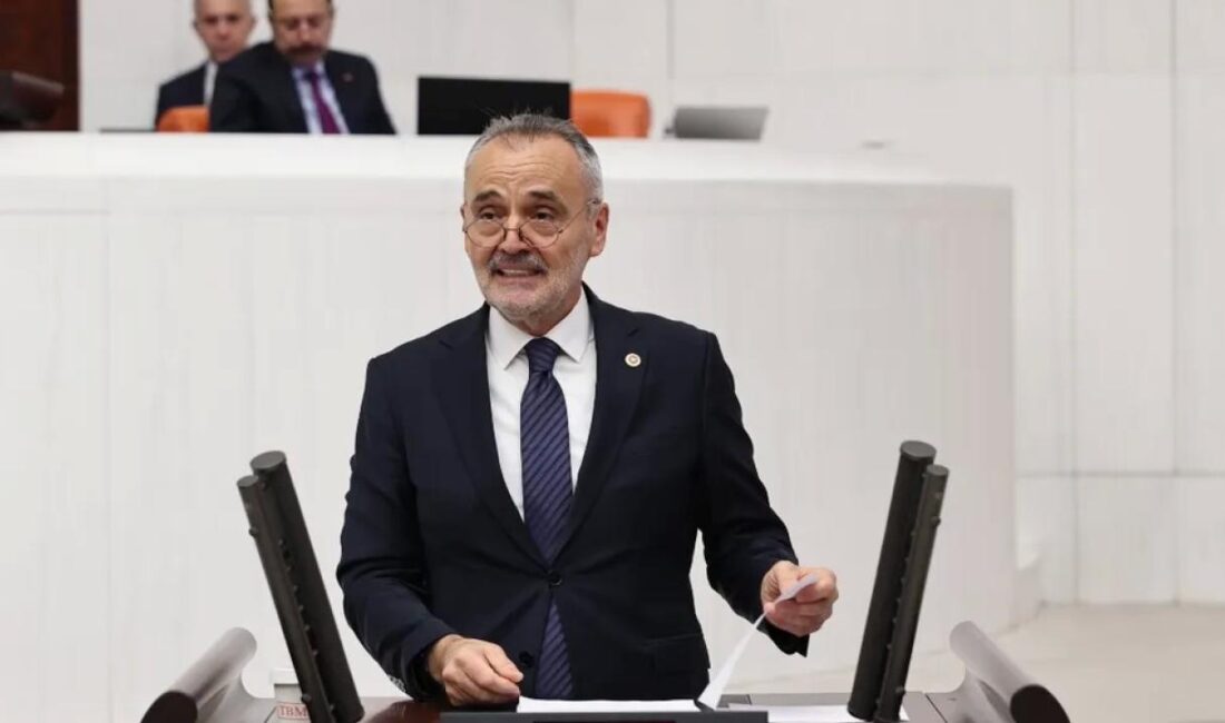 İYİ Parti Edirne Milletvekili Prof. Dr. Mehmet Akalın, Avrupa Konseyi