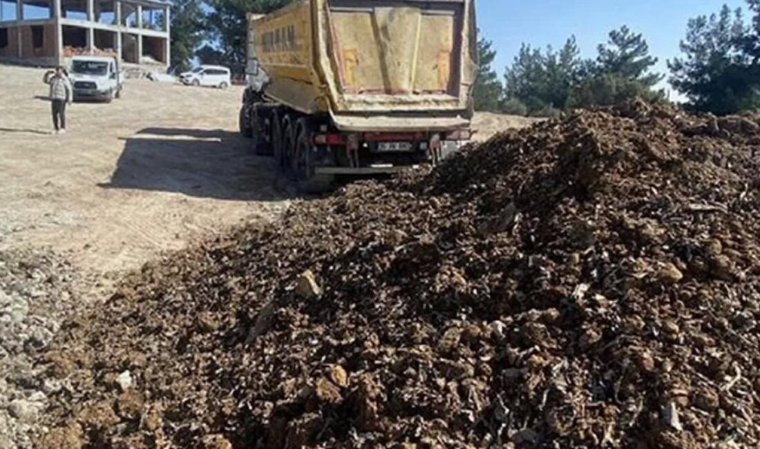 Çevre, Şehircilik ve İklim Değişikliği Bakanlığı İzmir İl Müdürlüğü ekipleri,
