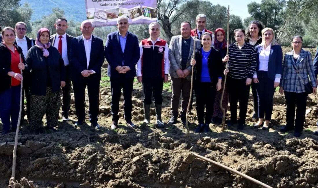 İzmir’de ipek böceği yetiştiriciliğini canlandırmak ve kadın çiftçileri desteklemek amacıyla