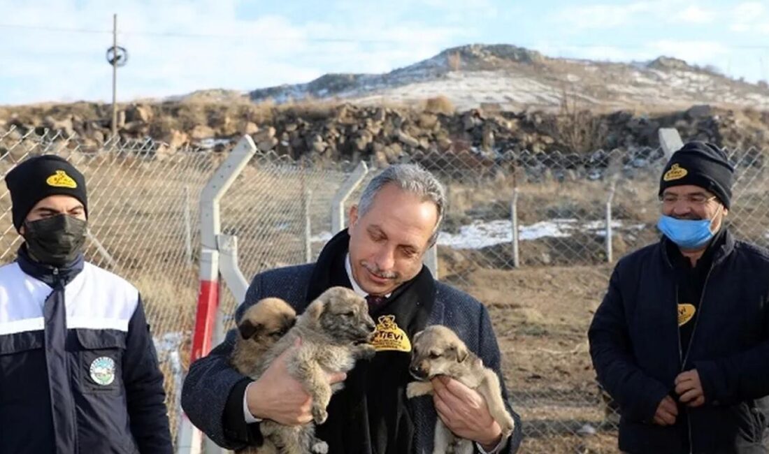 Kayseri Talas Belediye Başkanı Mustafa Yalçın’ın vizyonuyla yaklaşık 5,5 yıl
