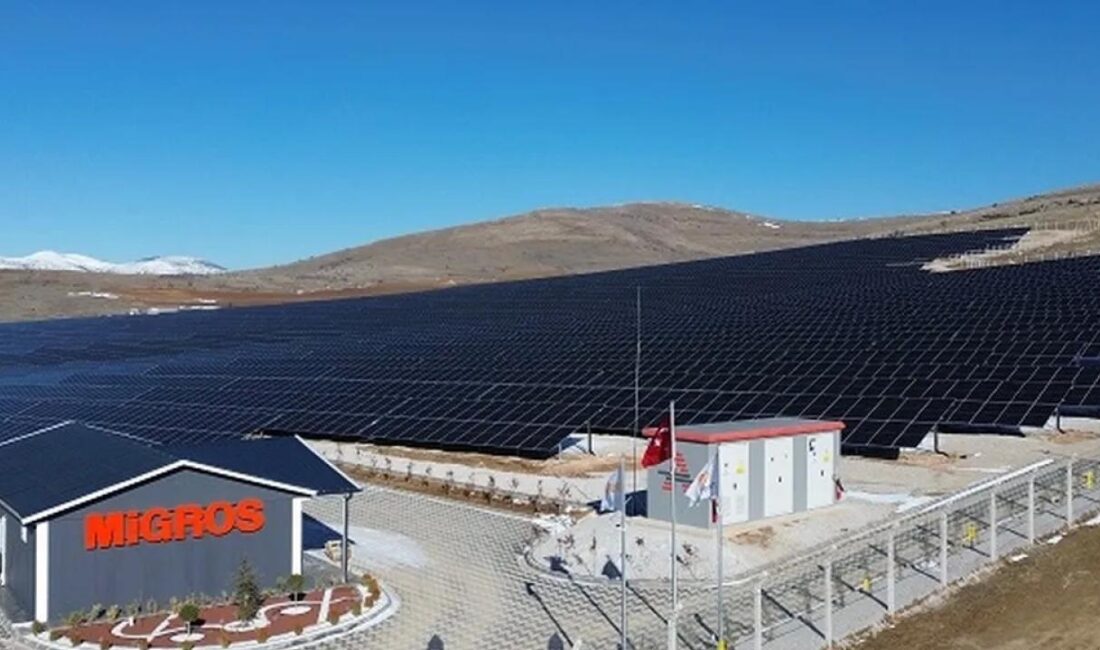 Migros, Kırşehir’de ilk arazi güneş enerjisi santralini devreye aldı. 