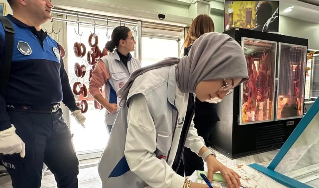 Manisa'da Soma Belediyesi Zabıta Müdürlüğü ve Veteriner İşleri Müdürlüğü ekipleri,