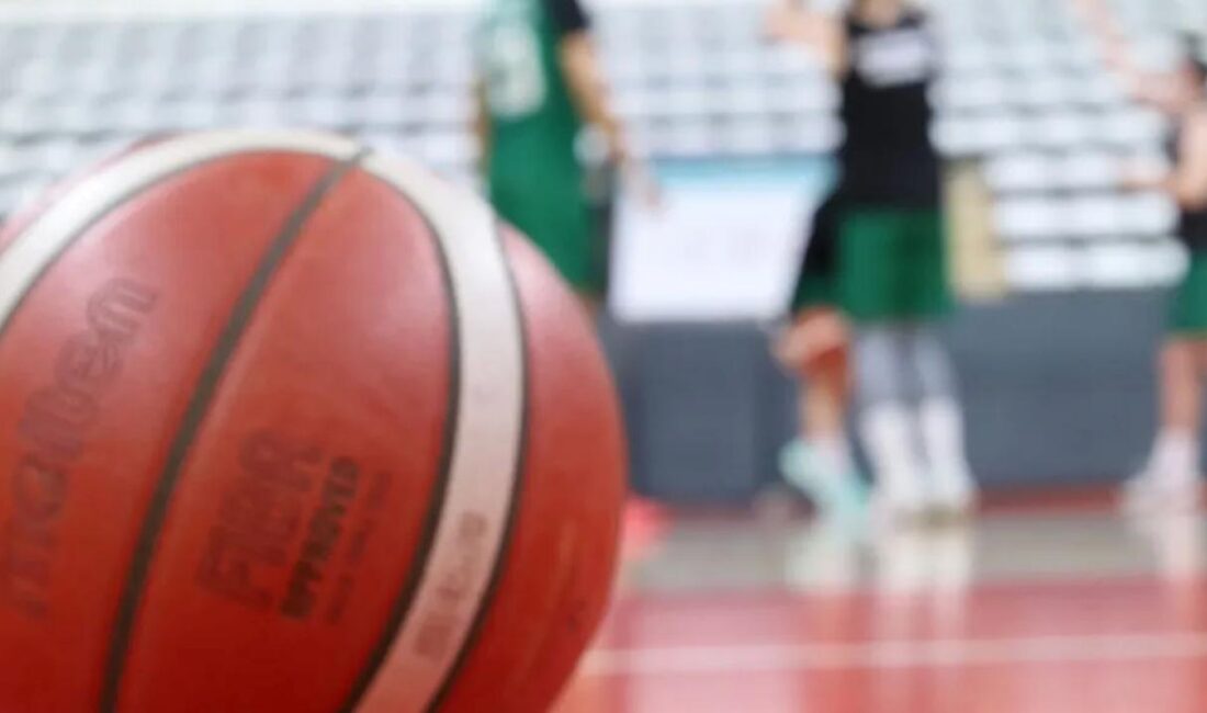 Sakarya Büyükşehir Basketbol takımı Türkiye Erkekler Basketbol 2.Ligi Play-Off elemeleri