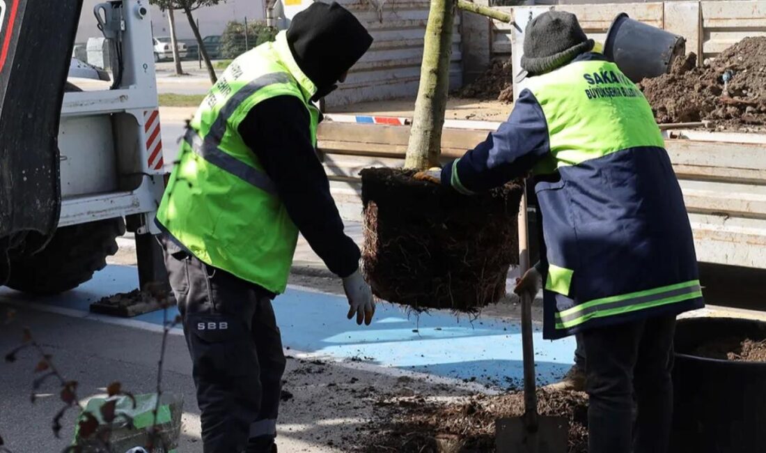 Sakarya Büyükşehir Belediyesi, şehri daha estetik ve sürdürülebilir hale getirmek