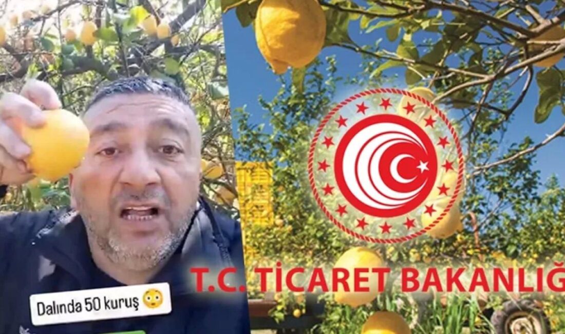 Sosyal medyadan yaptığı paylaşımlarda 32 dönüm araziye sahip olduğunu ve