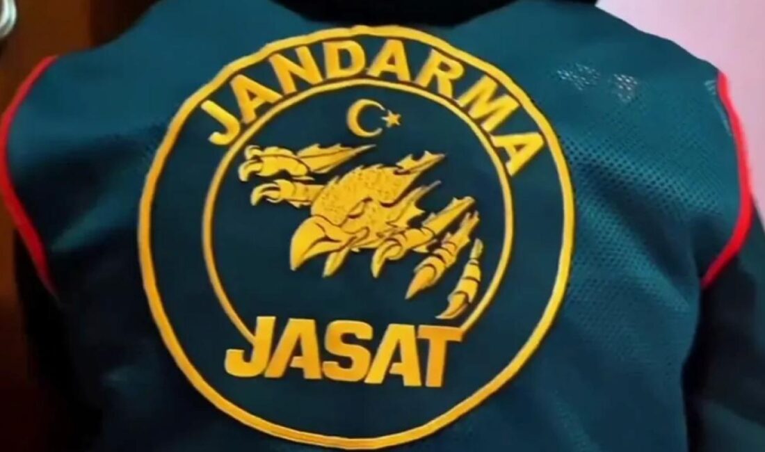 Jandarma Suç Araştırma Timi (JASAT) ekipleri, 308 suç kaydı olan,